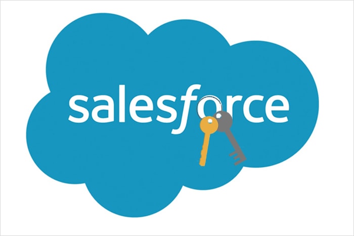 Salesforce-Licesnce.jpg